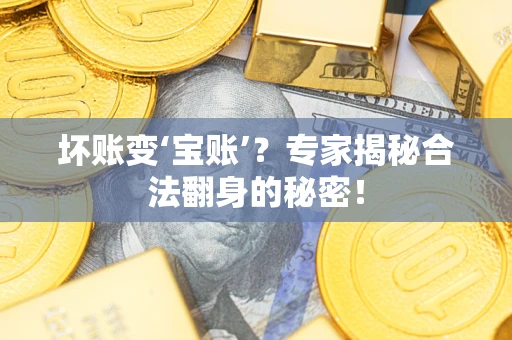 济南坏账变‘宝账’？专家揭秘合法翻身的秘密！