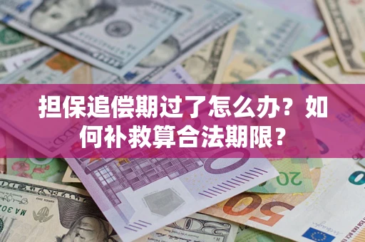 济南担保追偿期过了怎么办？如何补救算合法期限？