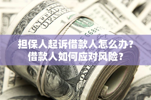 济南担保人起诉借款人怎么办？借款人如何应对风险？