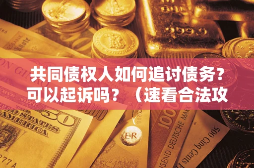 济南共同债权人如何追讨债务？可以起诉吗？（速看合法攻略）
